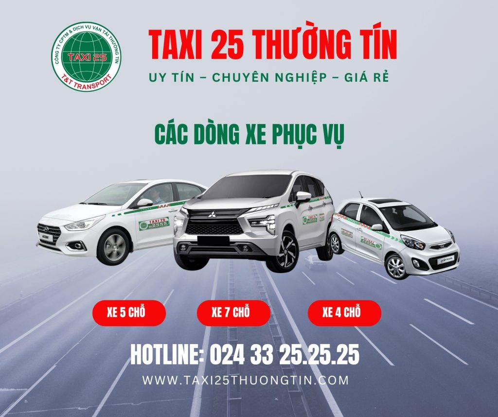 dòng xe taxi 25