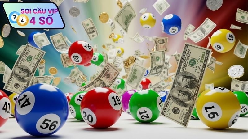 Nuôi Lô Bạch Thủ Dài Hạn Chiến Lược Bền Và An Toàn