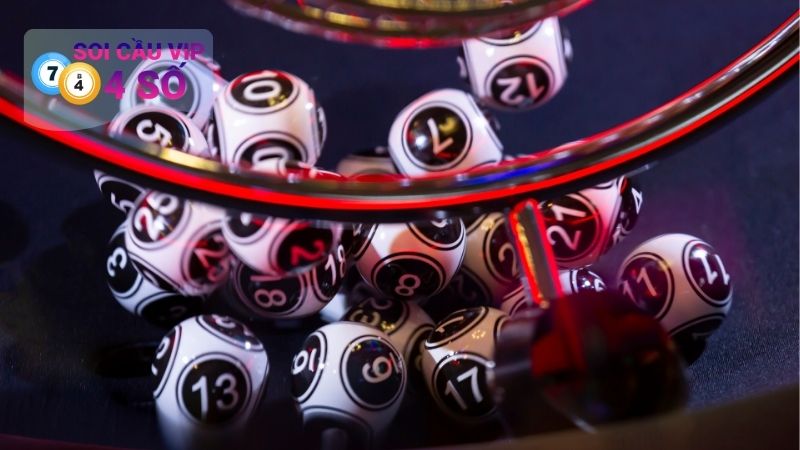 Bạch Thủ Lô Nuôi Khung 5 Ngày Miễn Phí, Ăn Quanh Năm